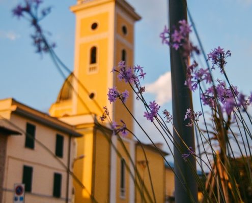 querceta versilia seravezza