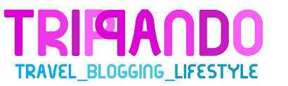 Blogging Camp